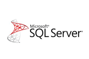 MS Server